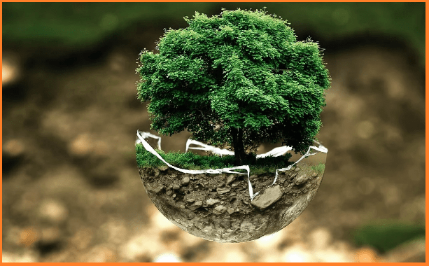 ENVIRONMENT-MANAGEMENT-PLAN-FOR-CONSTRUCTION