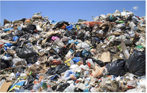 Screenshot 2023-08-16 at 15.09.39